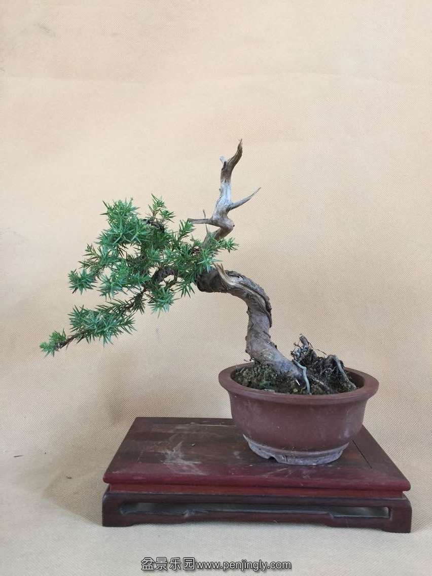QQͼƬ20150802200950.jpg