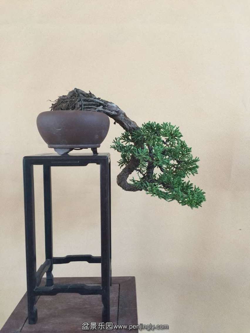QQͼƬ20150804215943.jpg