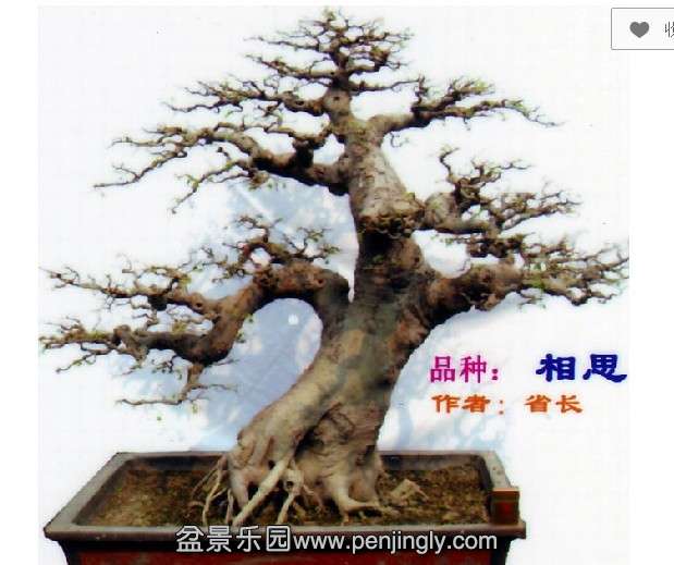 0909523wqnedzwvzzokbqz.jpg