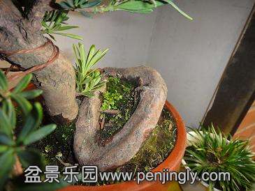 ͼƬ 009.JPG
