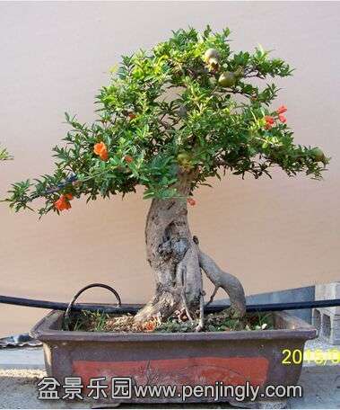QQͼƬ20130614213620.jpg