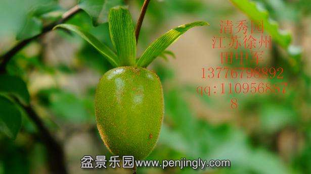 DSC04086_ͼ.jpg