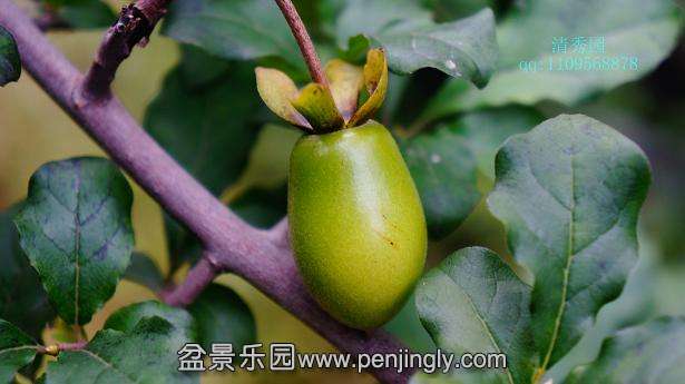 DSC04118_ͼ.jpg