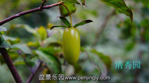 DSC04119_ͼ.jpg