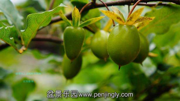DSC04120_ͼ.jpg