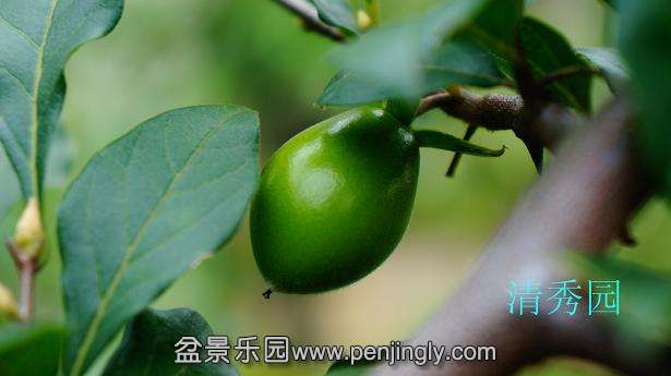 DSC04124_ͼ.jpg