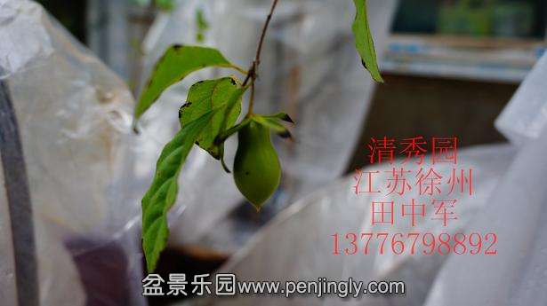 DSC04129_ͼ.jpg
