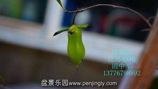DSC04130_ͼ.jpg