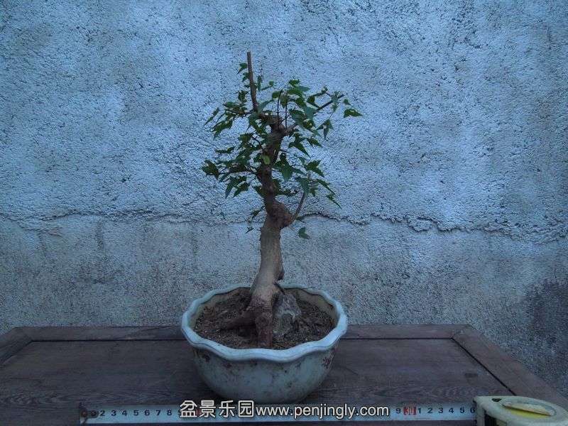 Ƭ 061.jpg