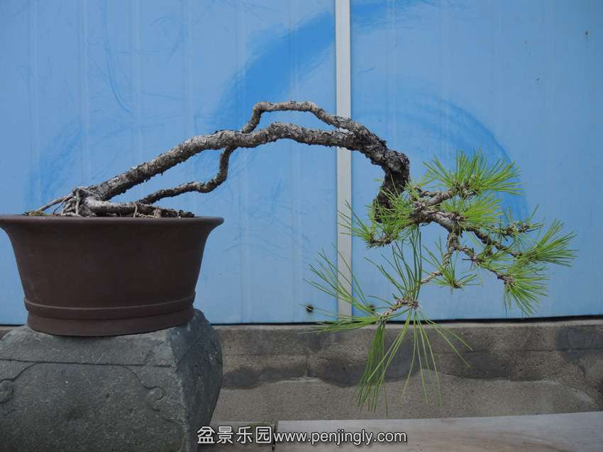DSCN9734.jpg