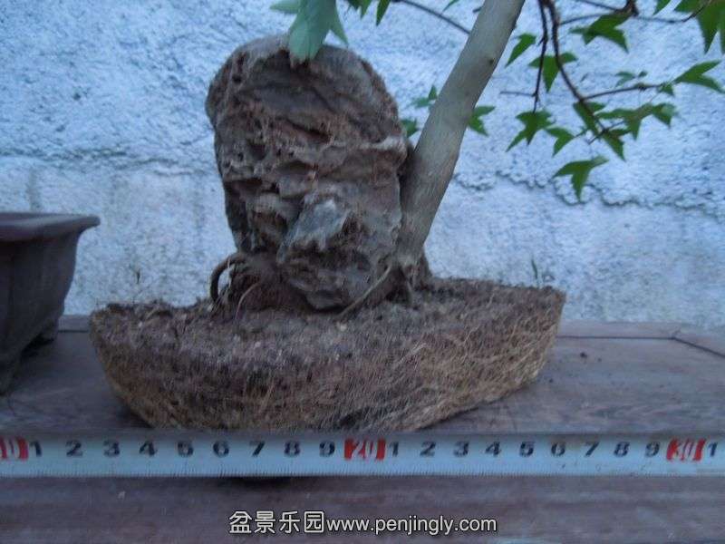 Ƭ 072.jpg