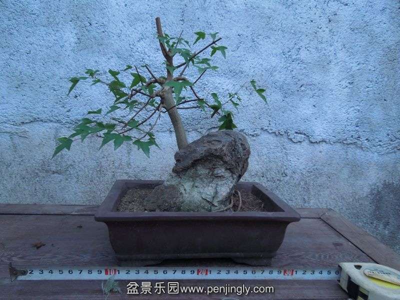 Ƭ 068.jpg