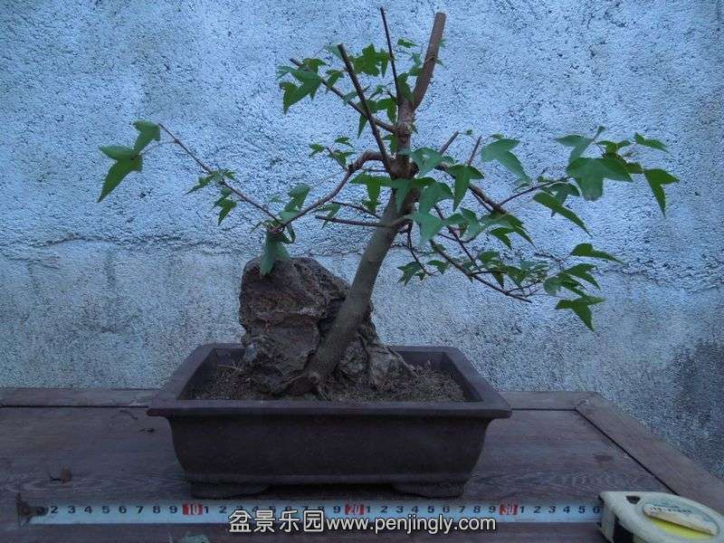 Ƭ 069.jpg