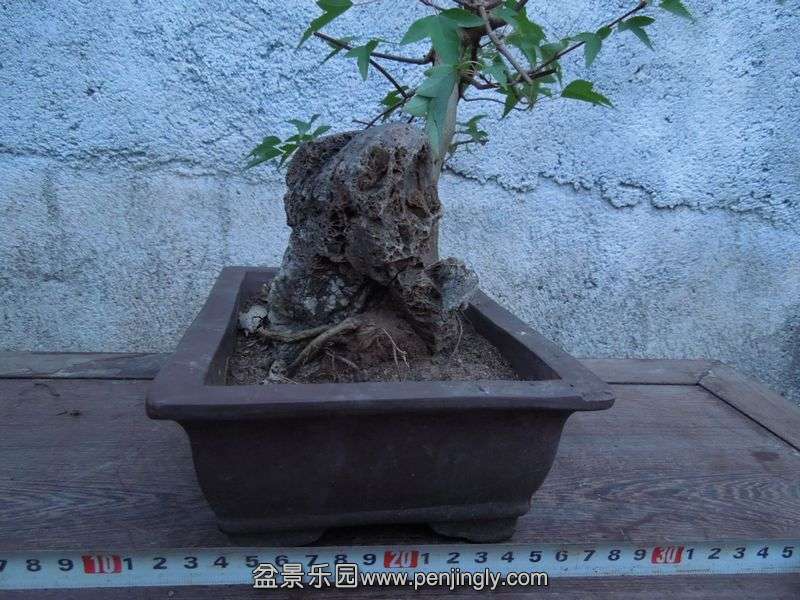 Ƭ 070.jpg