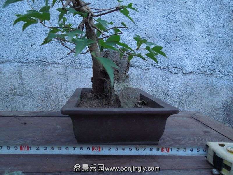 Ƭ 071.jpg