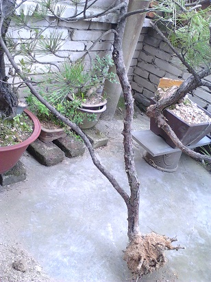 2013���ڻؼҵ�����