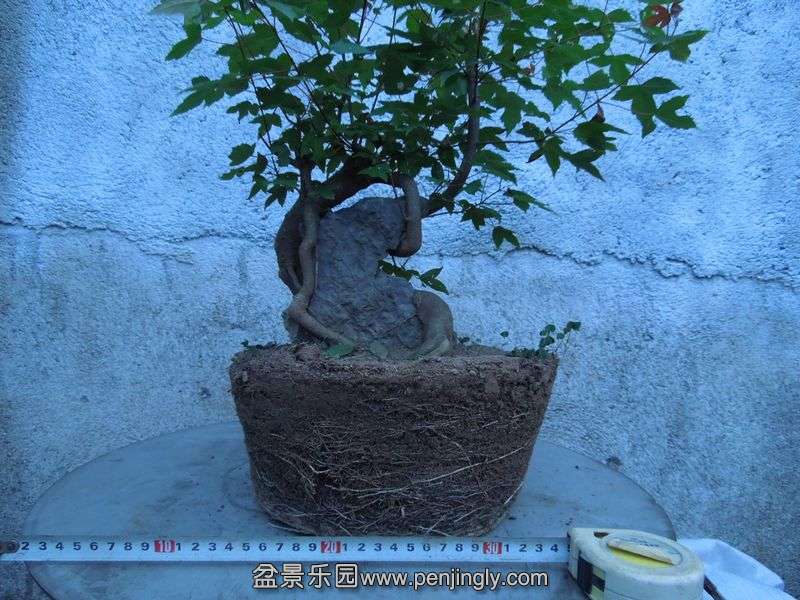 Ƭ 074.jpg