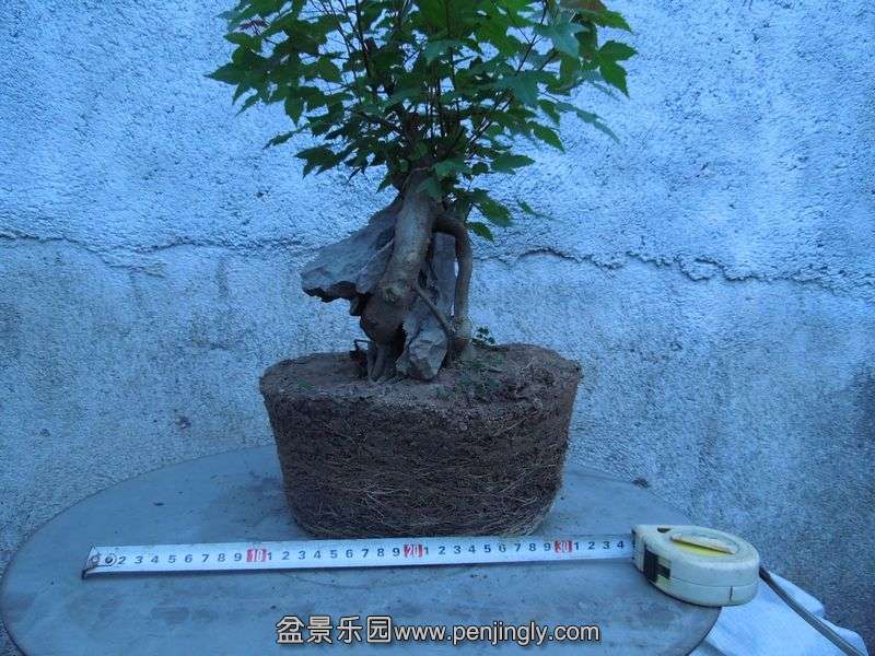 Ƭ 075.jpg