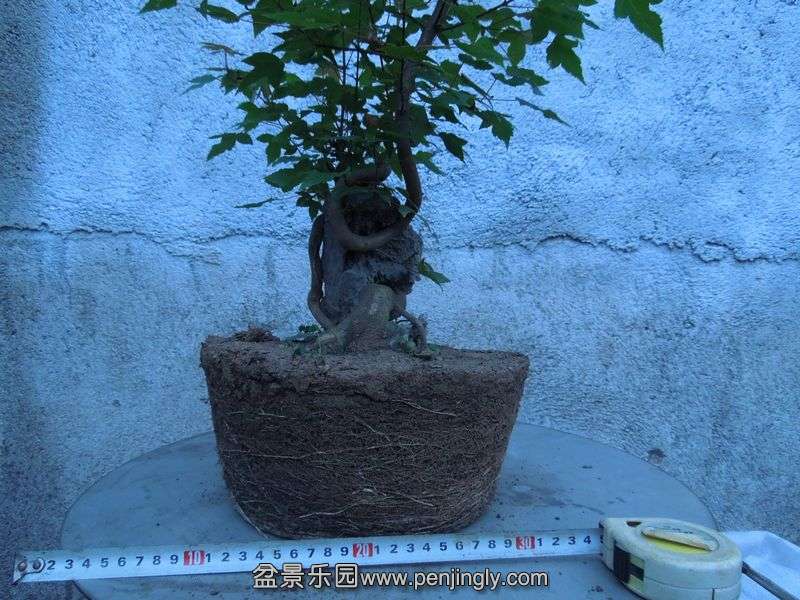 Ƭ 076.jpg