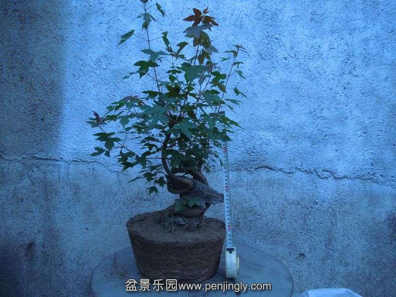 Ƭ 077.jpg