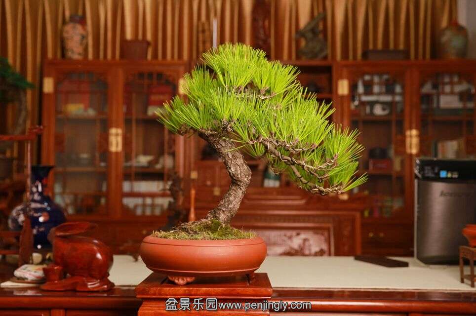 QQͼƬ20150817120711.jpg