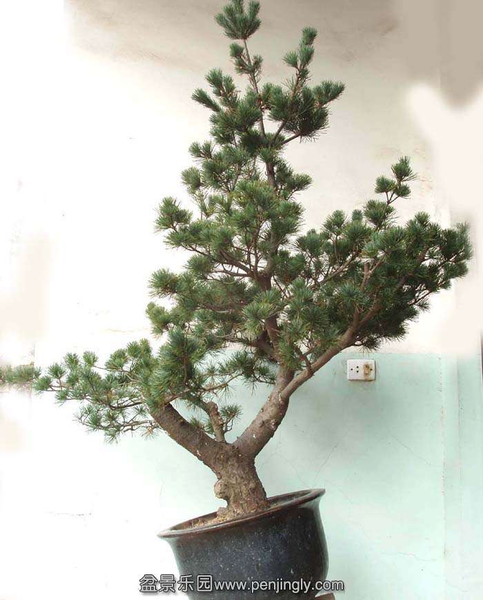 2009.1.11-2.jpg