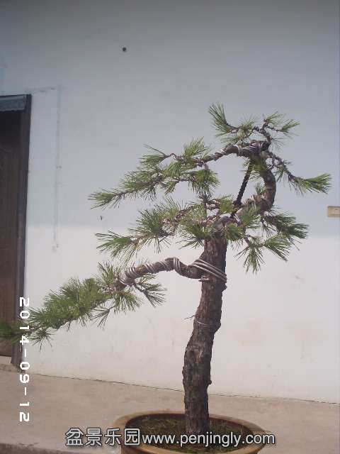PHOT0383.JPG