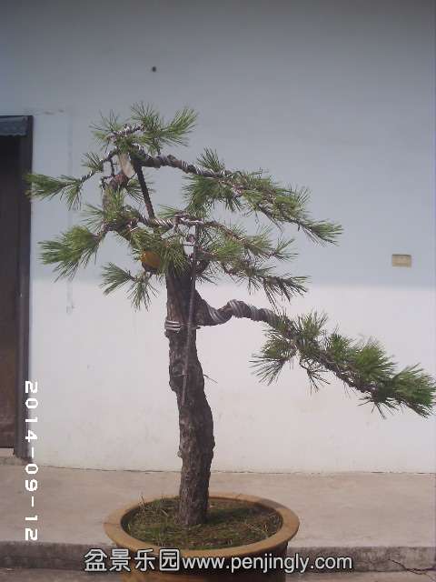 PHOT0385.JPG