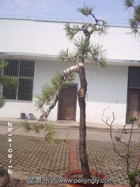 PHOT0389.JPG