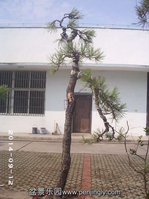 PHOT0390.JPG