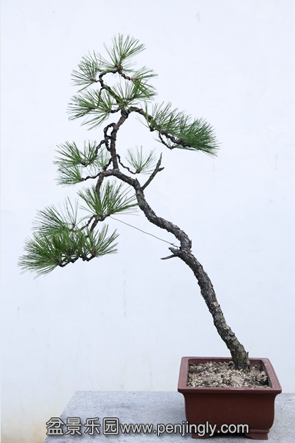 QQͼƬ20150819185104.png