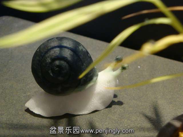 DSC01521.JPG