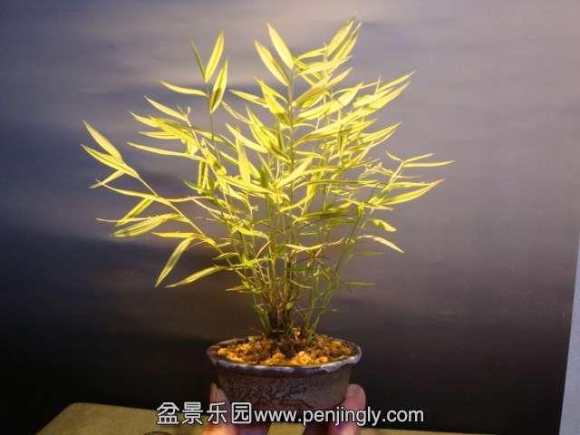 DSC01522.JPG