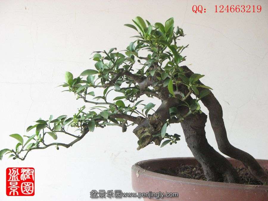 IMG_1690__.jpg
