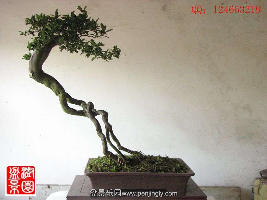 IMG_1700__.jpg