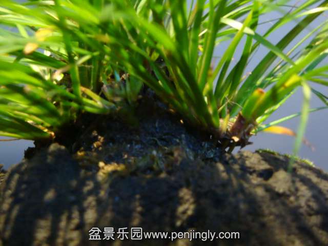 DSC01526.JPG