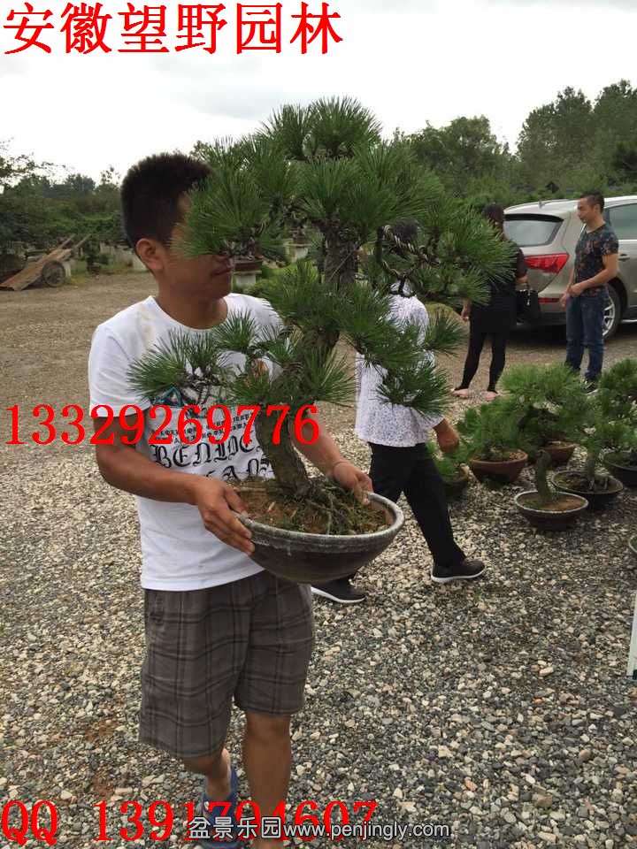 48156B0B8FA696A83CB1253F54ED5CD7.jpg
