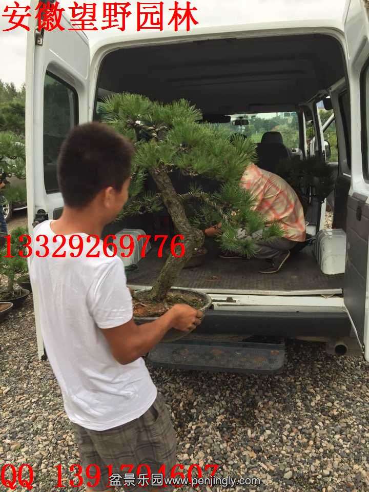 CE332FD246F2AF0D5F81DBA45A3416B0.jpg