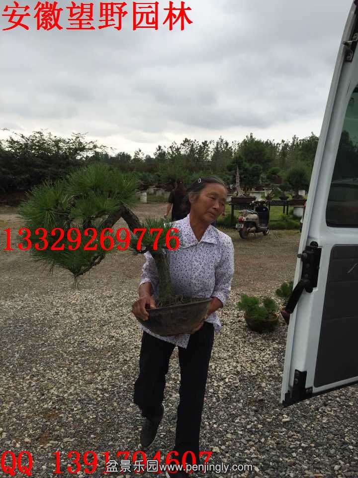 8F06BA62D03E8859BE23E193B37729B2.jpg