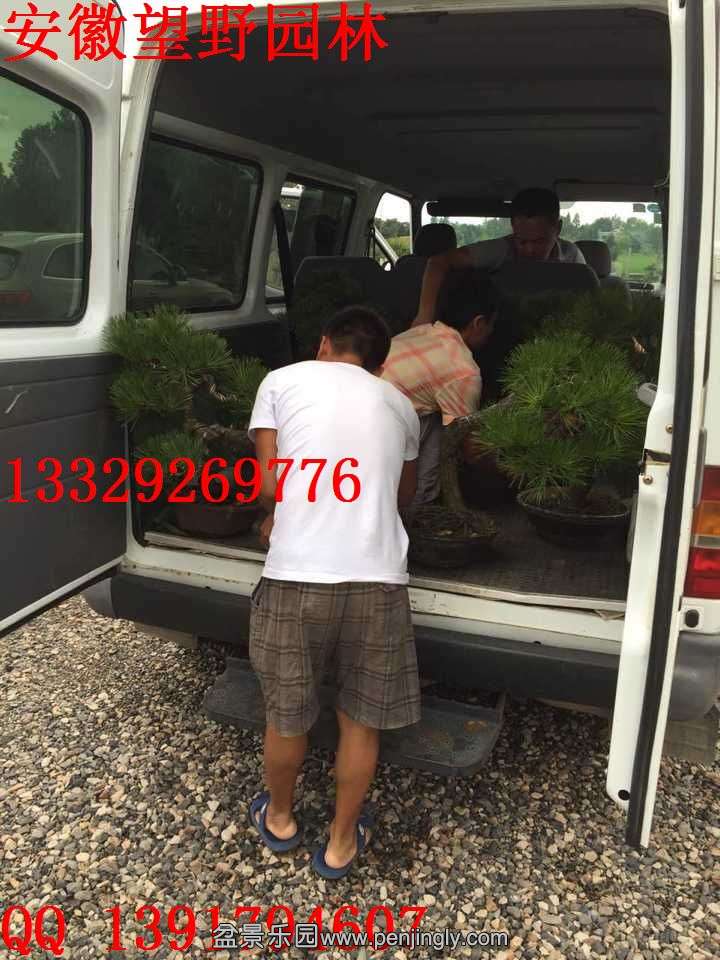 EEDEA5148ECD3F7591AB5437D284D815.jpg