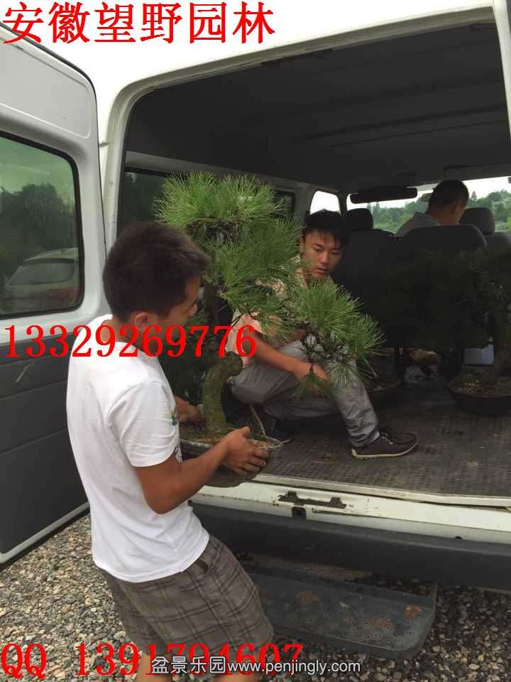 FA655AAFECFE2B12A2553E0AA398B91E.jpg