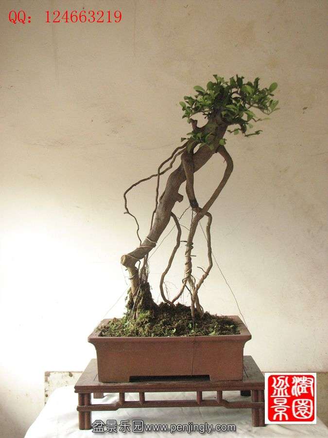 IMG_1723__.jpg