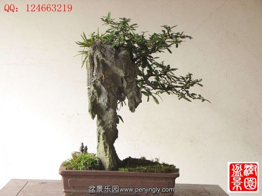 IMG_1733__.jpg