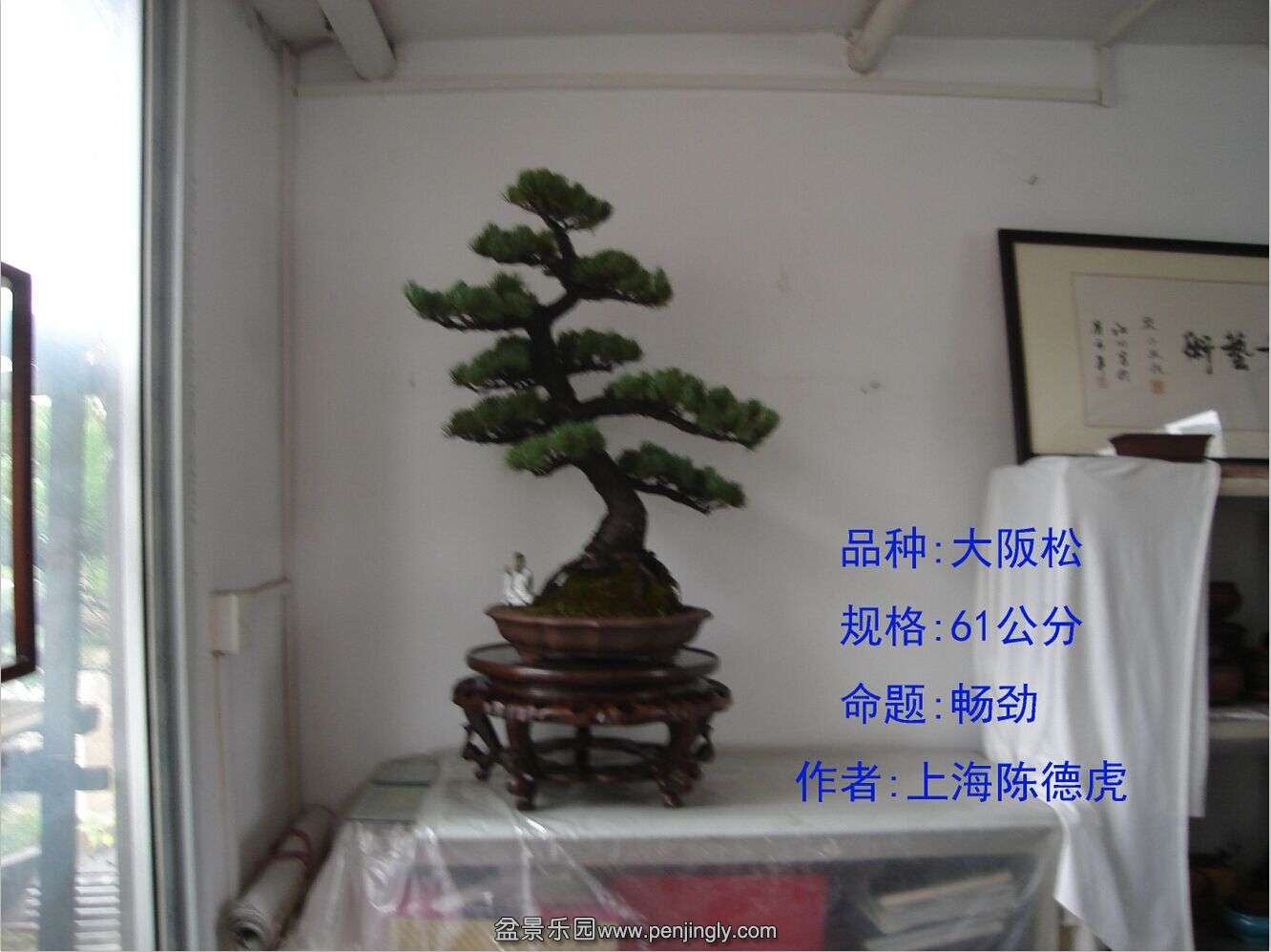 QQͼƬ20150823180321.jpg