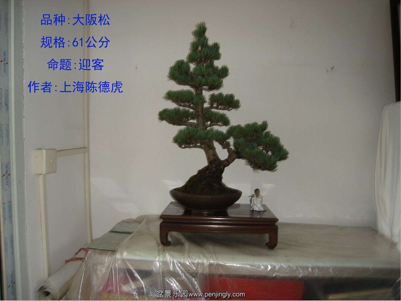 QQͼƬ20150823180445.jpg