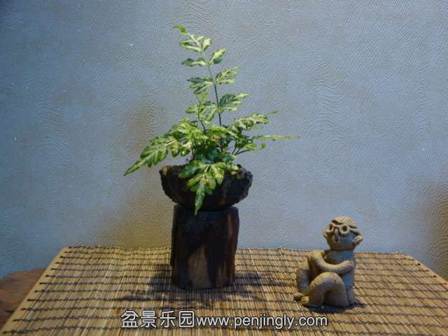 DSC01484.JPG