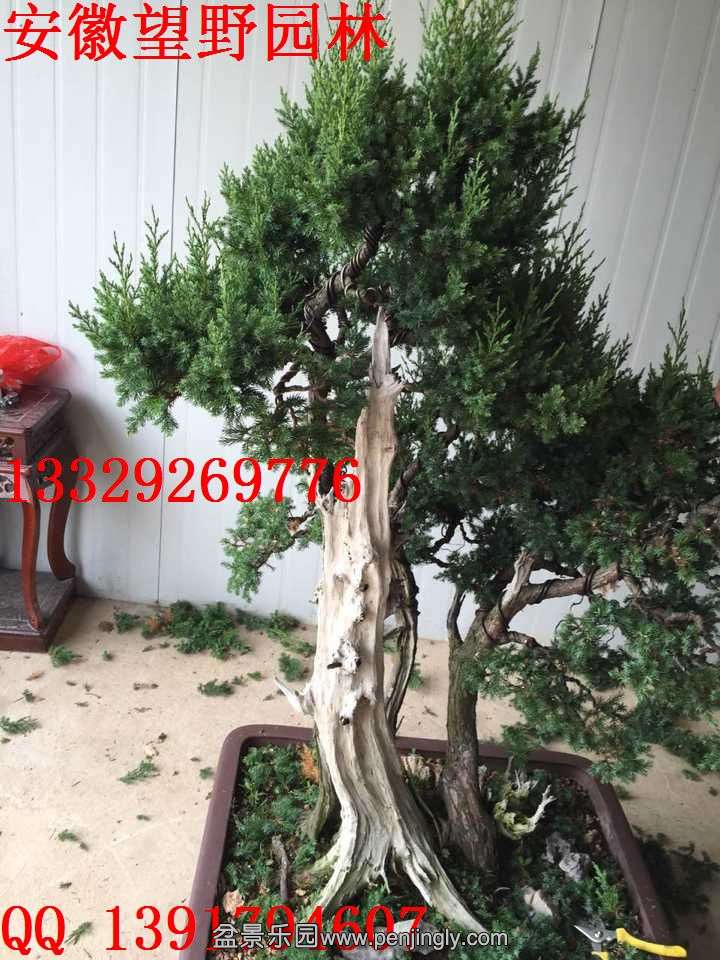 5E682AA546380DAFD74C615AA50BF4B7.jpg