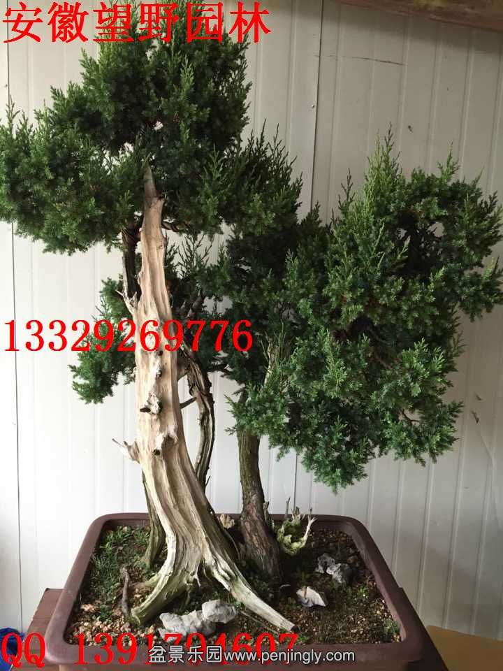 AF9B14521DFEF017C07F3D72F796DA33.jpg