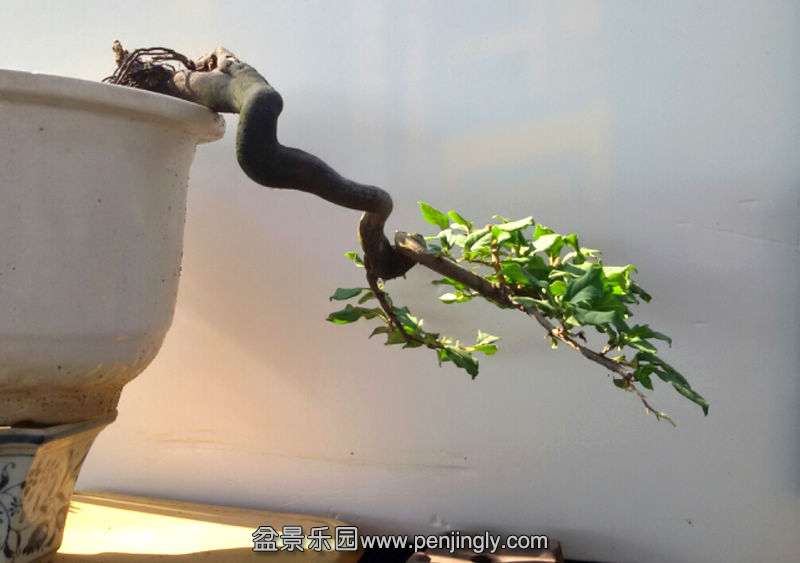 2015-08-24 13.43.41.jpg