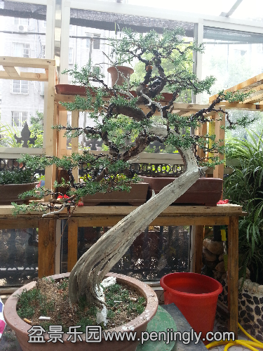 20150825_152327.jpg